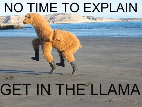 Meme of two people inside a llama costume with a caption “no time to explain - get in the llama”.